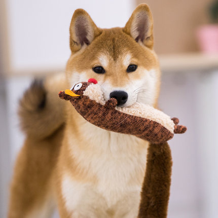 Toys & Entertainment